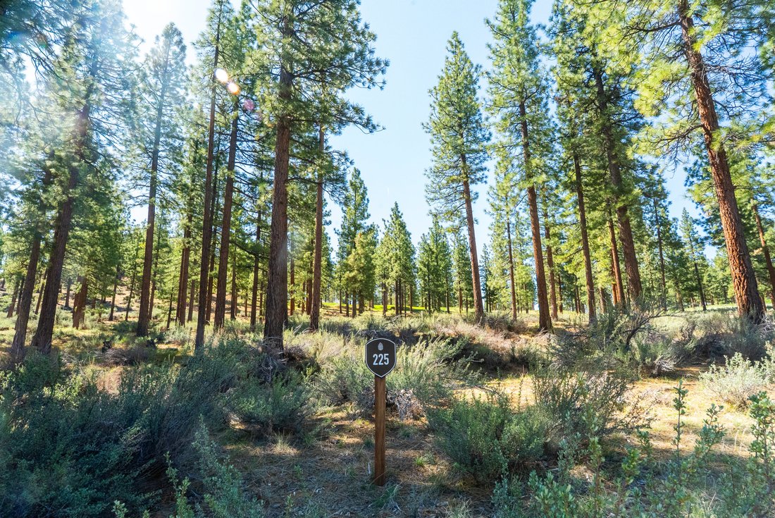 Land in Genoa, Nevada, United States 3 - 17148390