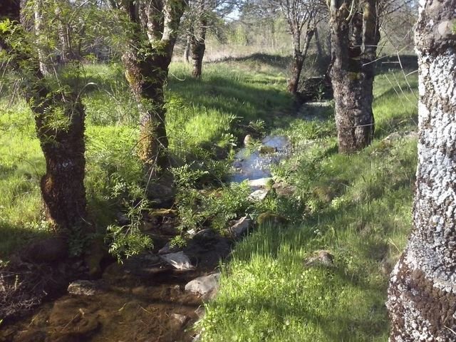 Terreno en Collado Mediano, Comunidad de Madrid, España 5 - 18507686