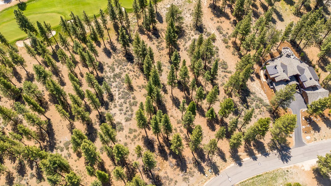 Land in Genoa, Nevada, United States 1 - 17148390