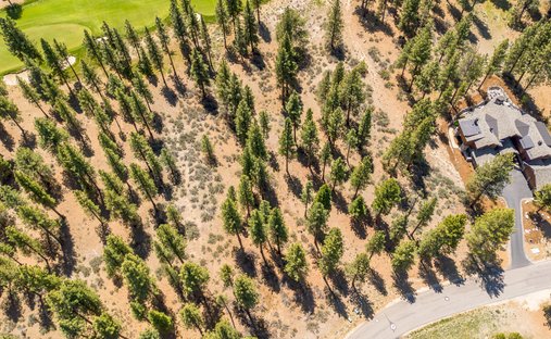 Land in Genoa, Nevada, United States 1
