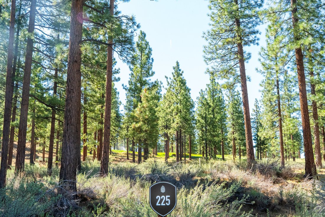 Land in Genoa, Nevada, United States 2 - 17148390
