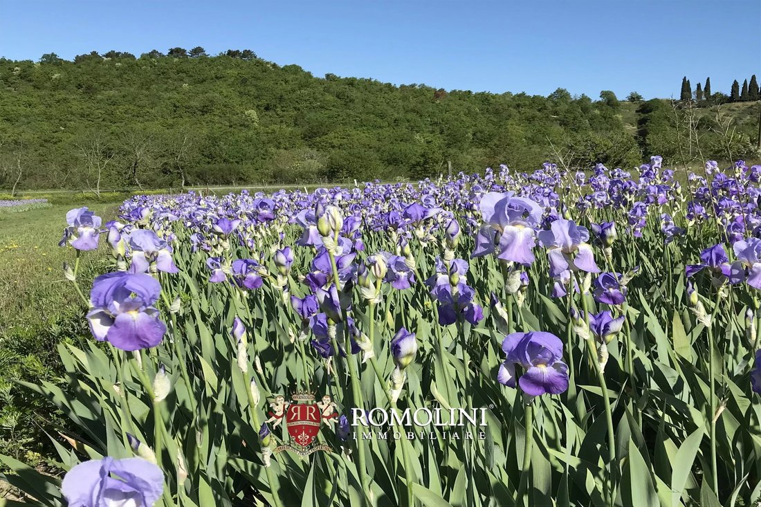 Estate in Subbiano, Tuscany, Italy 4 - 18507592