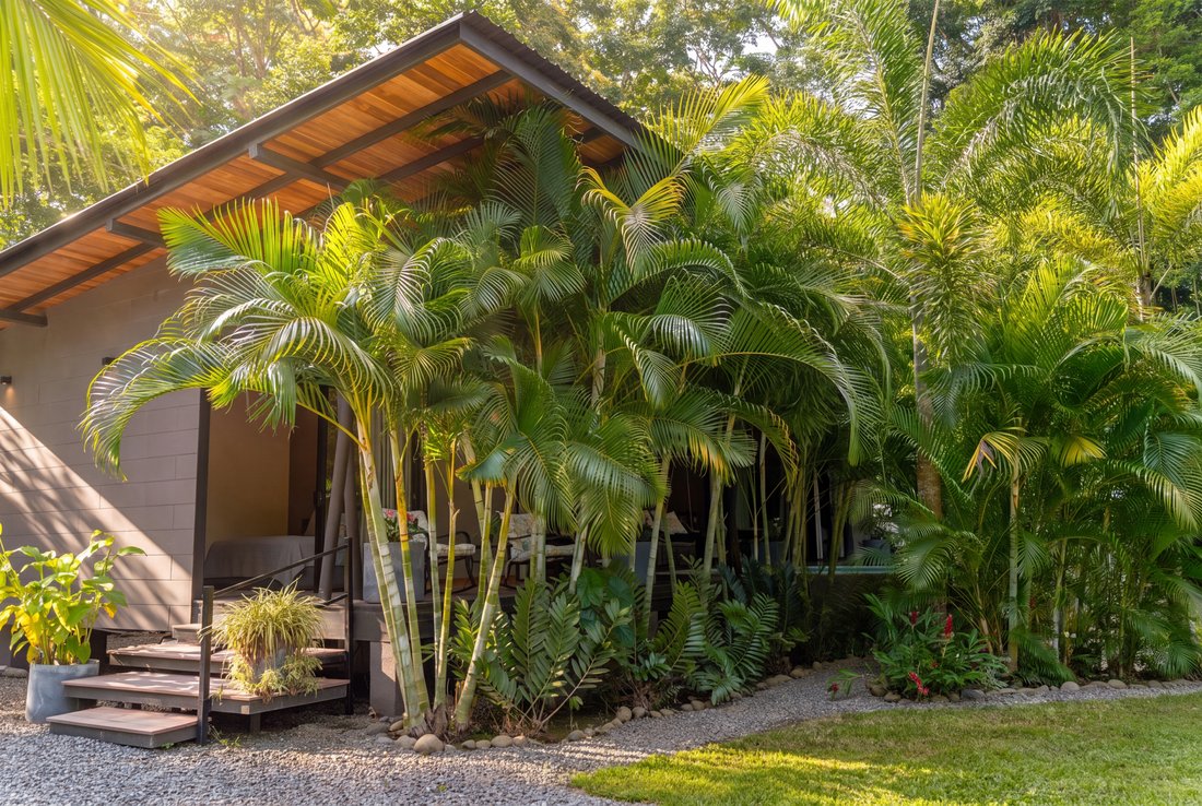 House in Hone Creek, Limón Province, Costa Rica 4 - 18507567