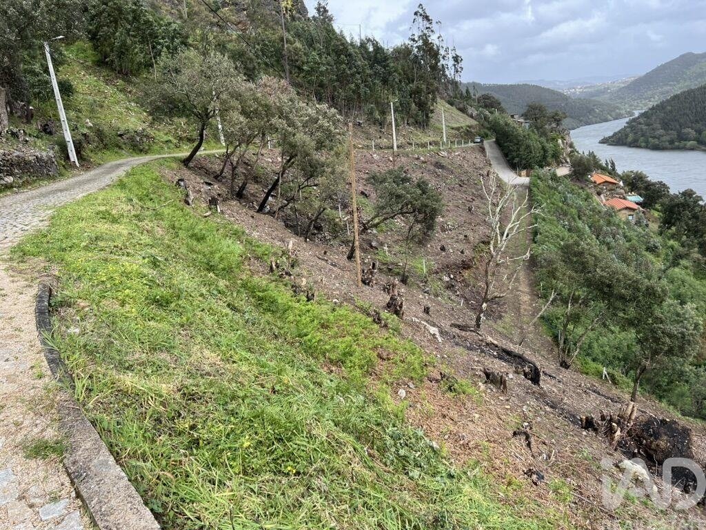 Land in Sebolido, Porto District, Portugal 5 - 18507661