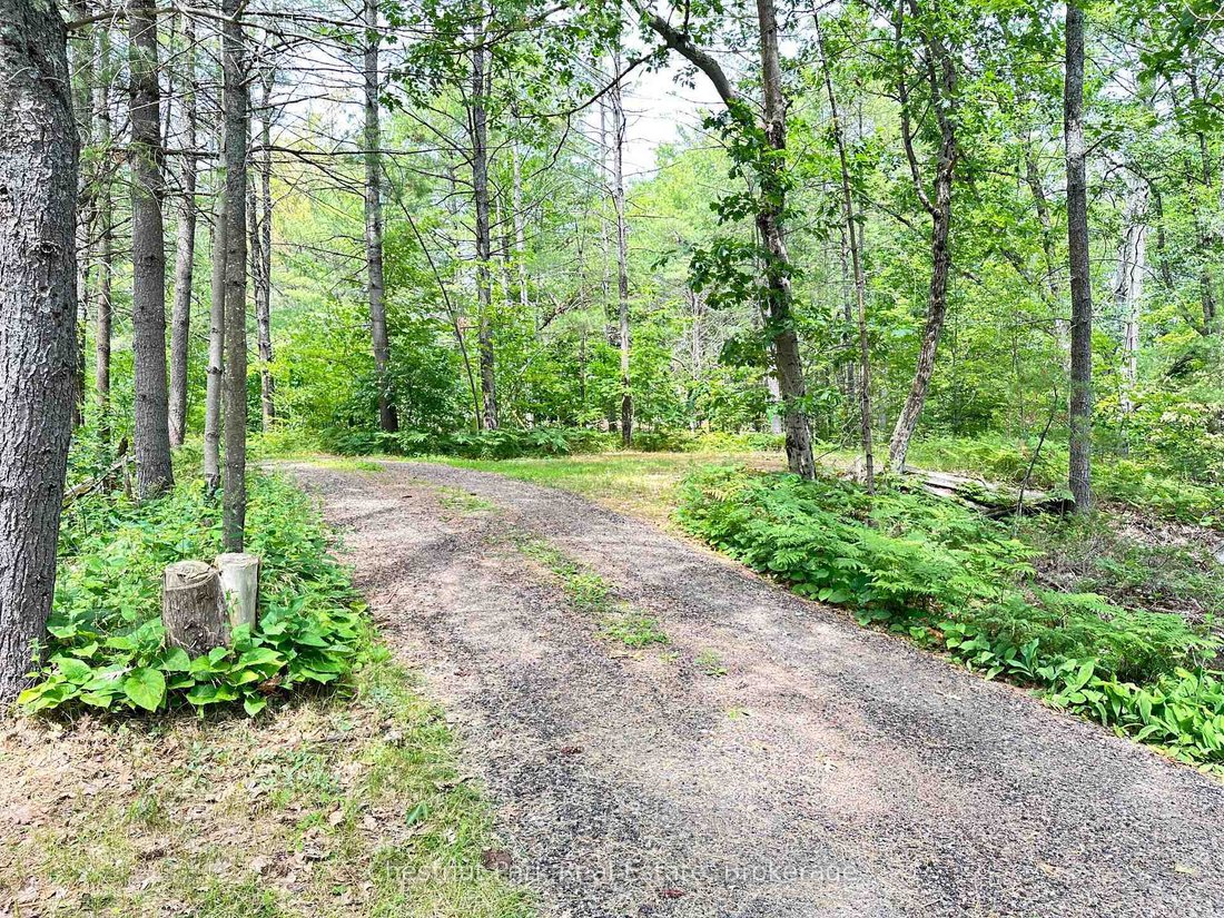 House in Gravenhurst, Ontario, Canada 3 - 18507684