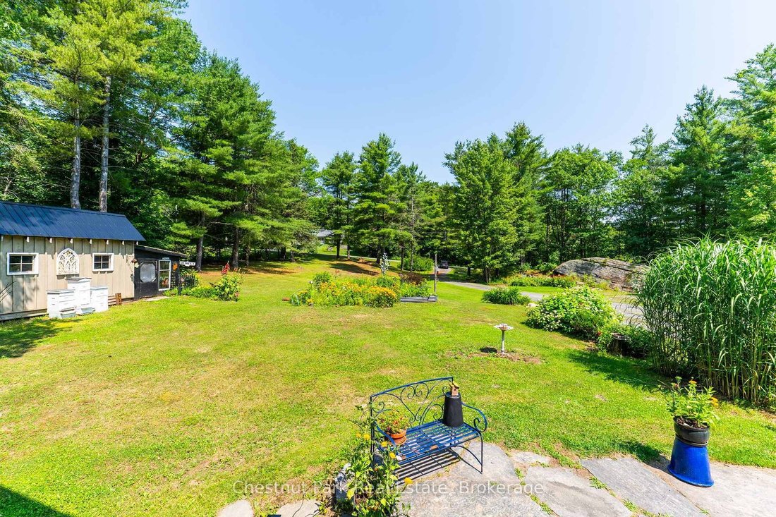 House in Bracebridge, Ontario, Canada 2 - 18507680