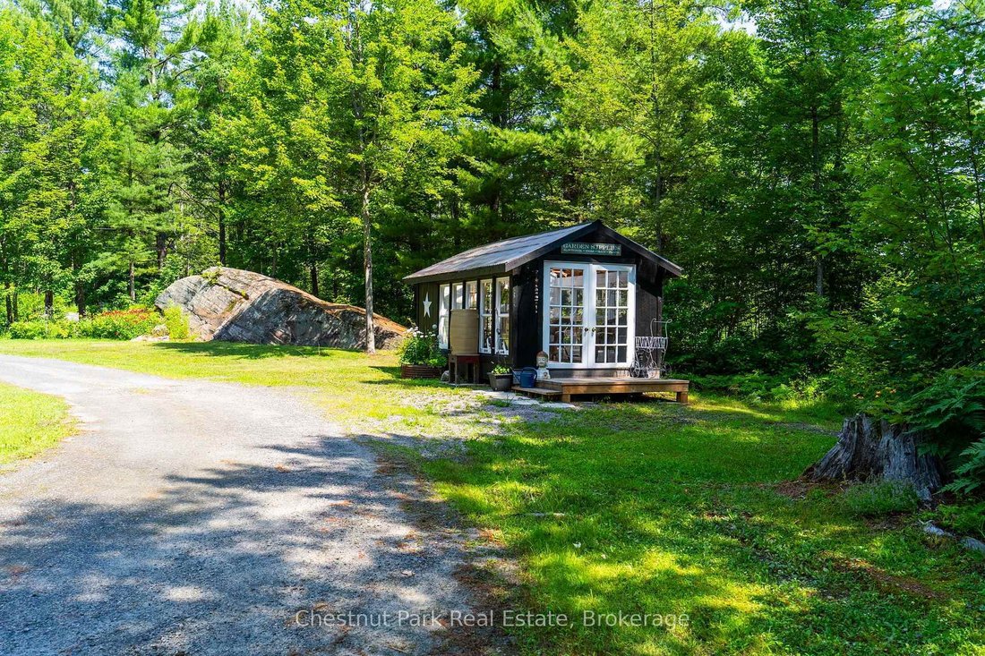 House in Bracebridge, Ontario, Canada 5 - 18507680