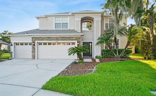 House in Wesley Chapel, Florida, United States 1