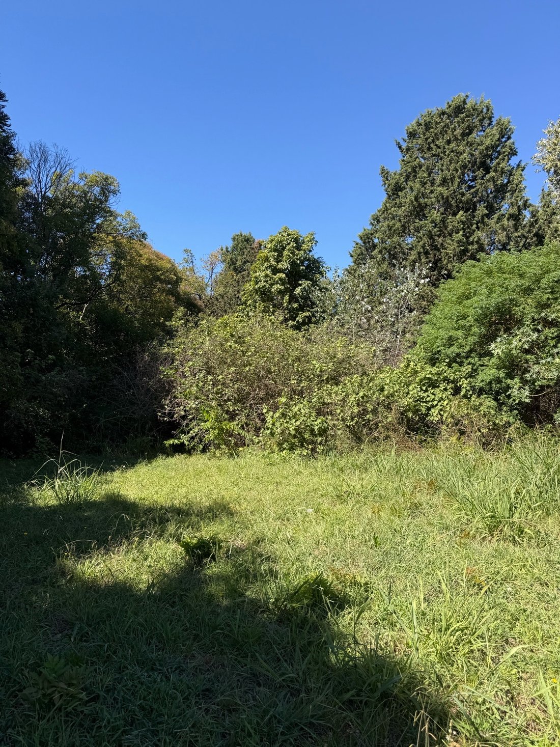 Land in El Talar, Buenos Aires Province, Argentina 5 - 18510417