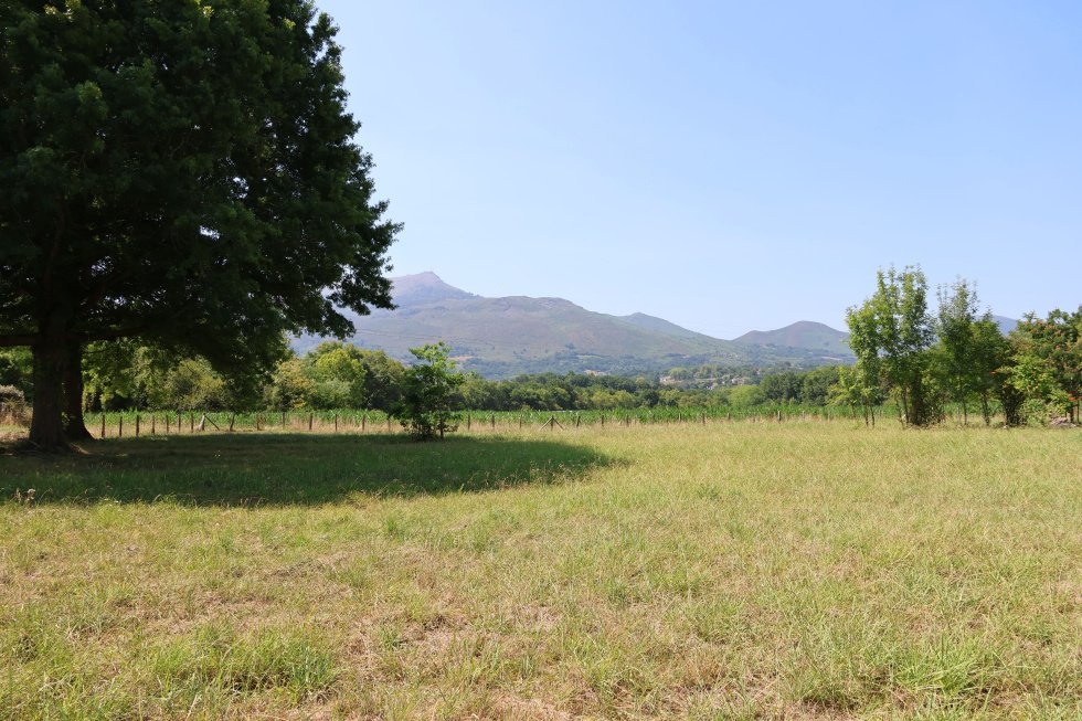 Land in Ascain, Nouvelle-Aquitaine, France 5 - 18511869