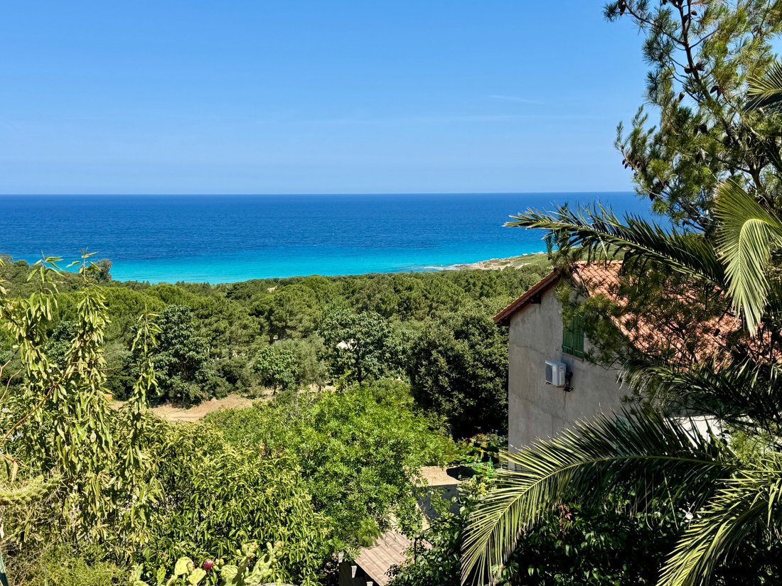 House in Corbara, Corsica, France 1 - 18224324
