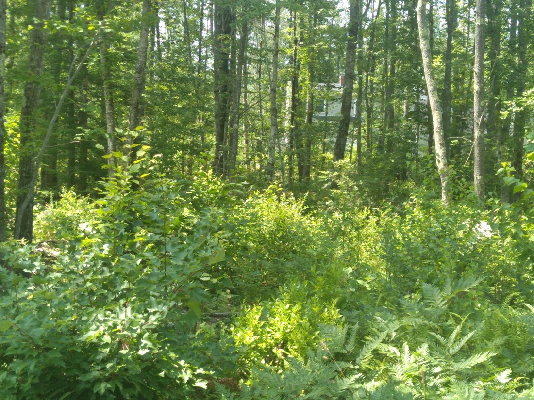 House in Sanford, Maine, United States 5 - 18513386