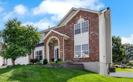 House in Fenton, Missouri, United States 1