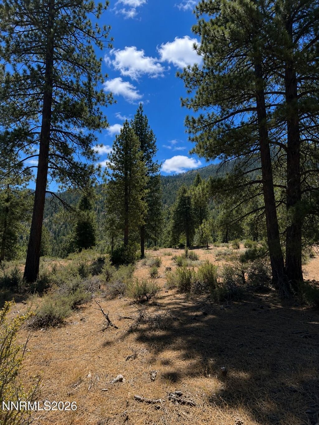 Land in Genoa, Nevada, United States 2 - 18514512