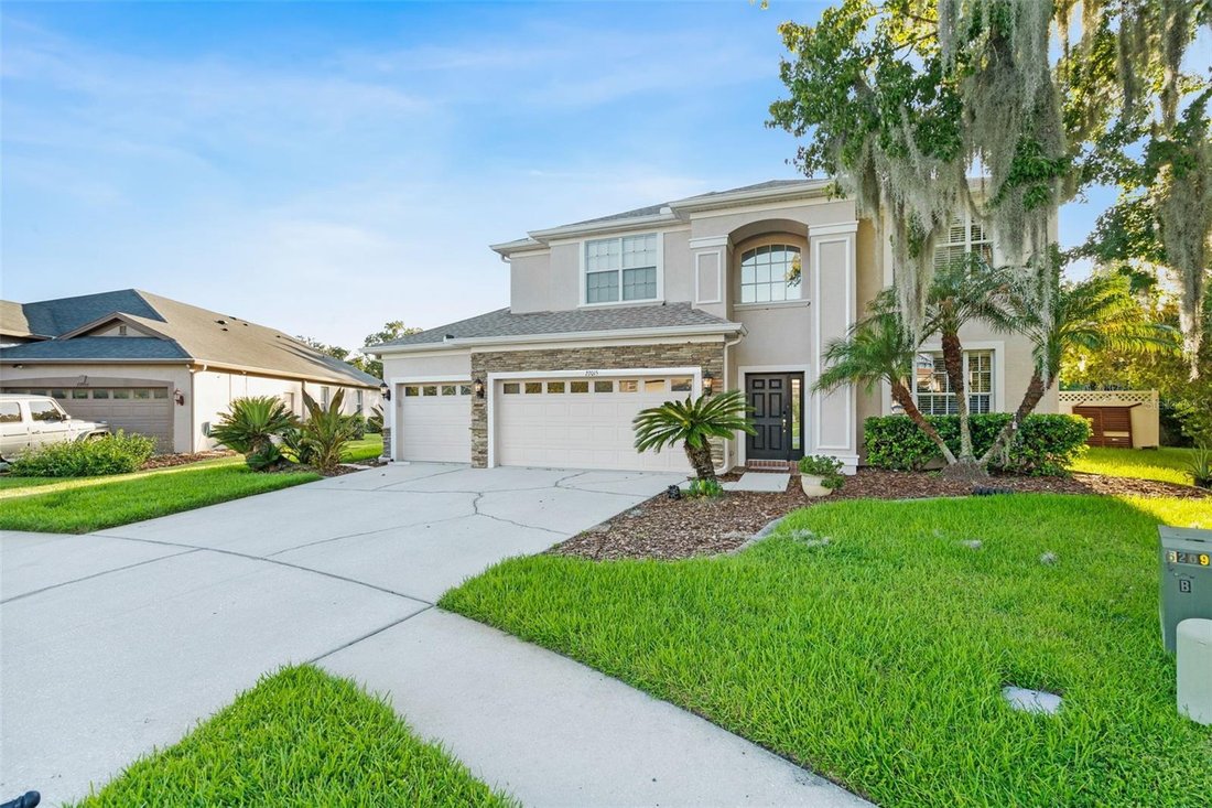 House in Wesley Chapel, Florida, United States 4 - 18514909
