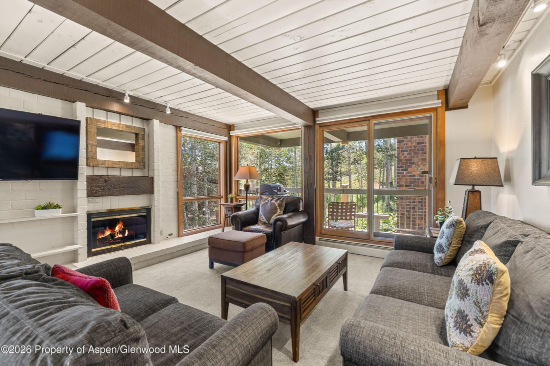 Condo in Snowmass Village, Colorado, United States 3 - 18515933