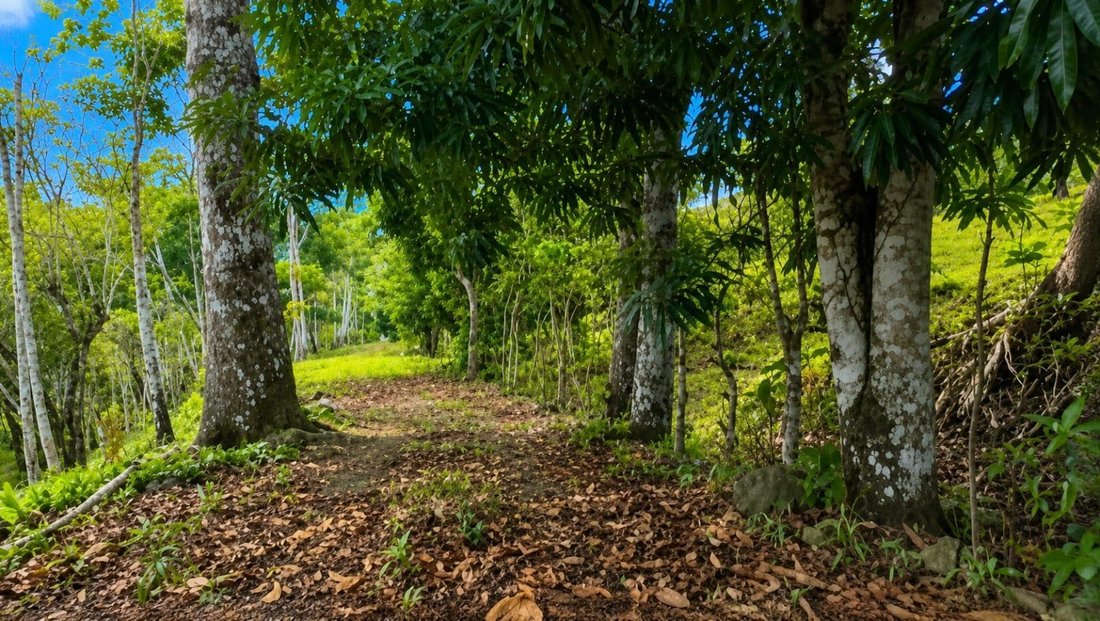 Land in Lagarterita, Provincia de Panamá Oeste, Panama 5 - 18515621