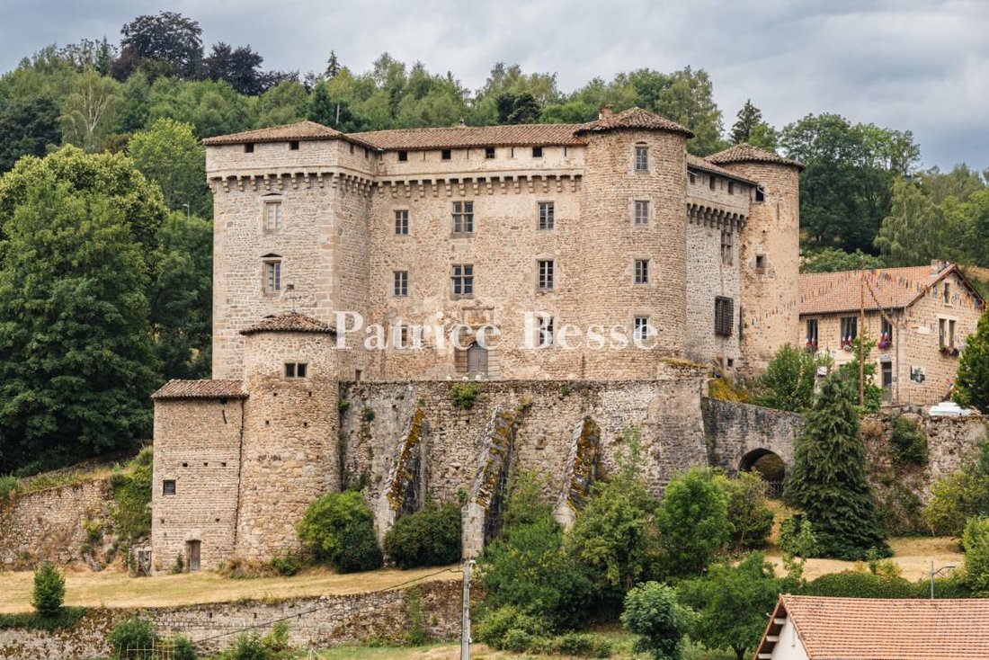 Castle in Chalmazel-Jeansagnière, Auvergne-Rhône-Alpes, France 1 - 18512200