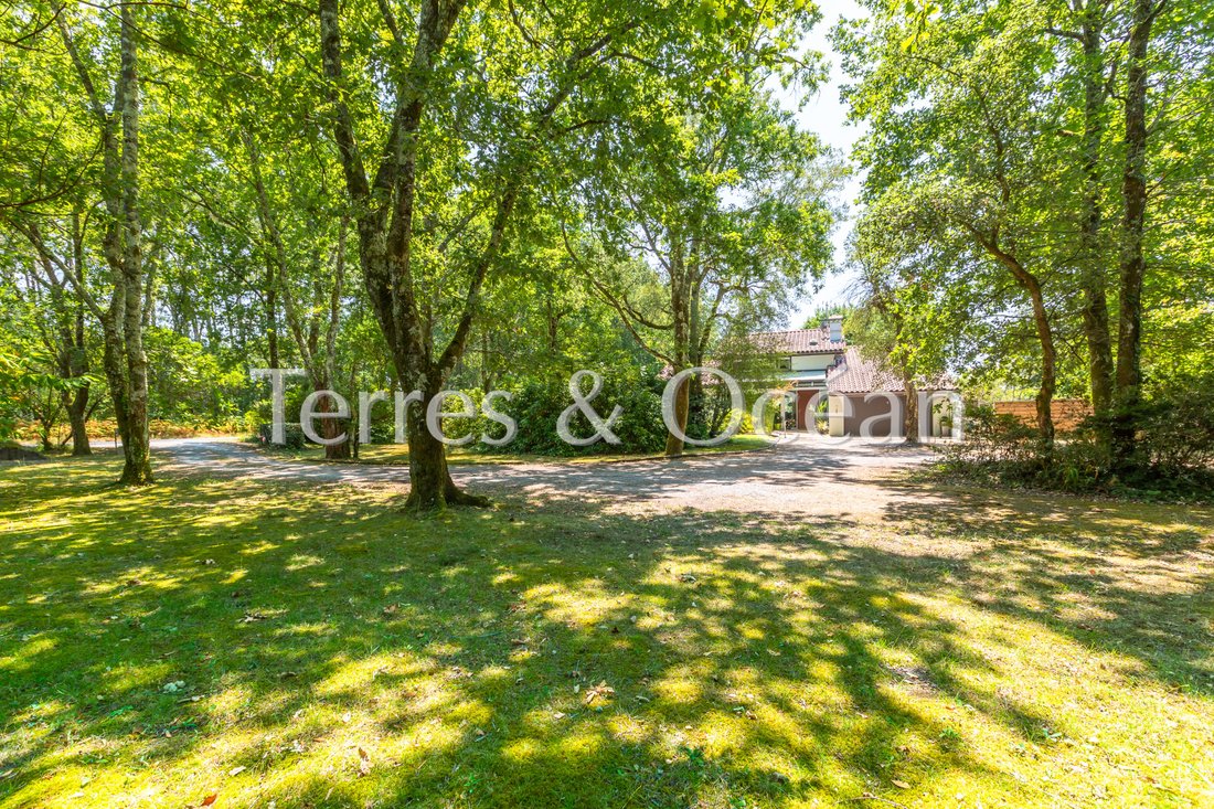 House in Ouest, Soustons, France 5 - 16245525