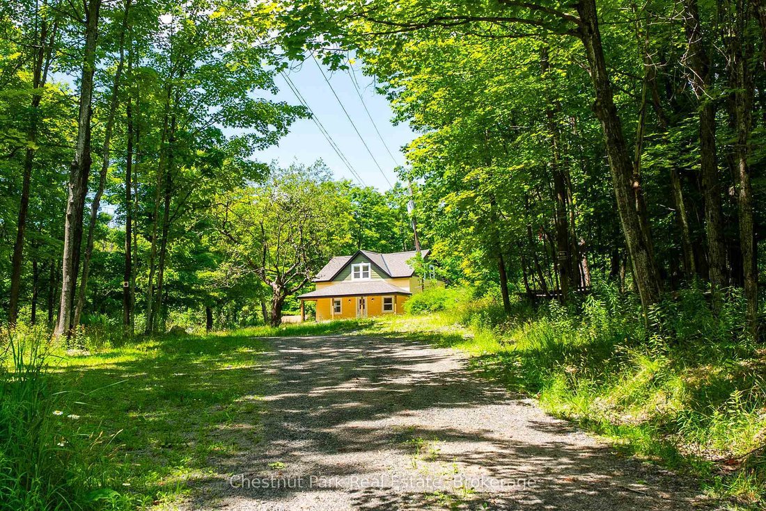 House in Muskoka Lakes, Ontario, Canada 5 - 18516002