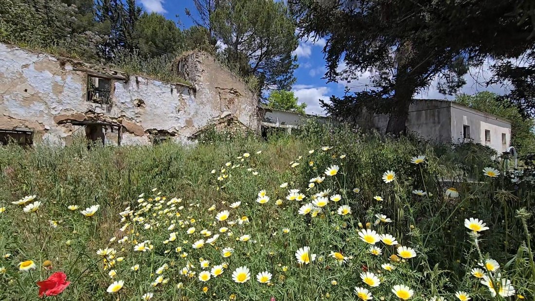 Land in Setenil de las Bodegas, Andalusia, Spain 5 - 18515333