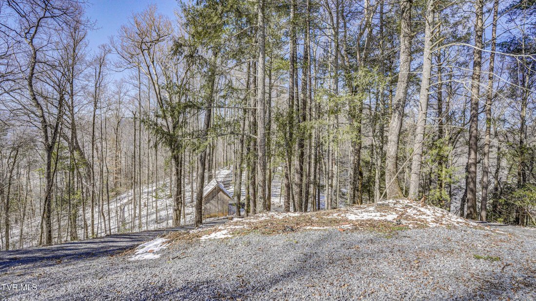 Casa a Roan Mountain, Tennessee, Stati Uniti 2 - 18511029