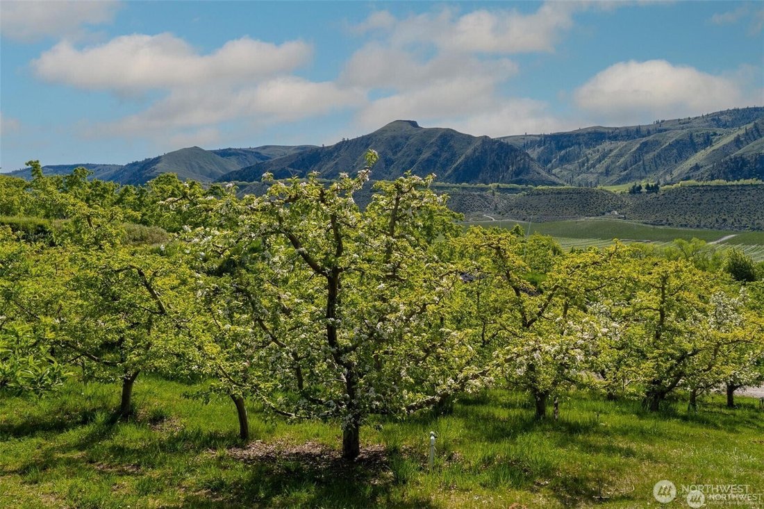 Farm Ranch in Manson, Washington, United States 4 - 18515336