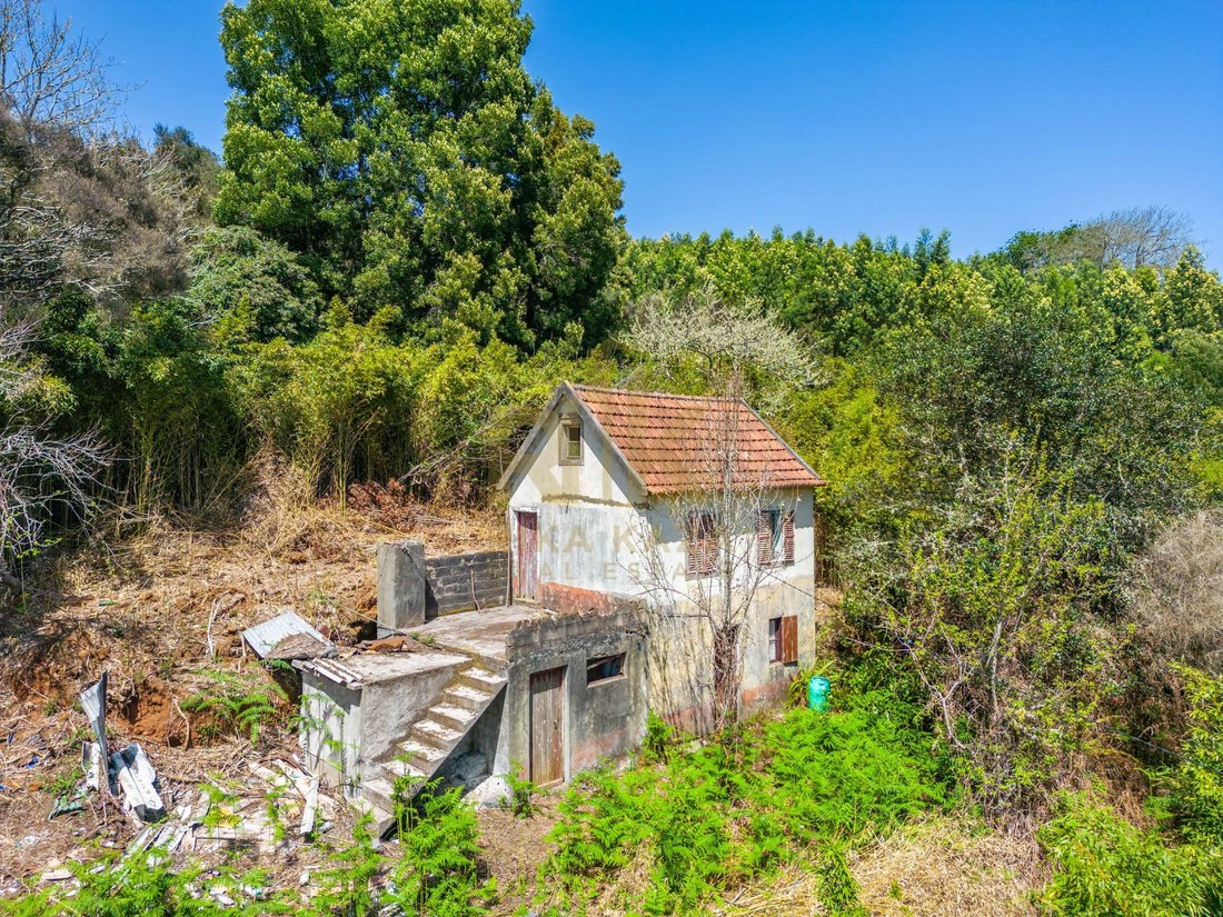 Land in Santo Antonio da Serra, Madeira, Portugal 2 - 18375036
