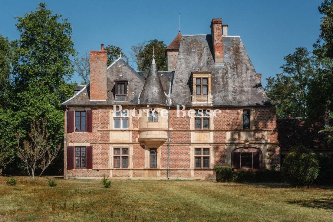 Castle in Moulins, Auvergne-Rhône-Alpes, France 2 - 17495976