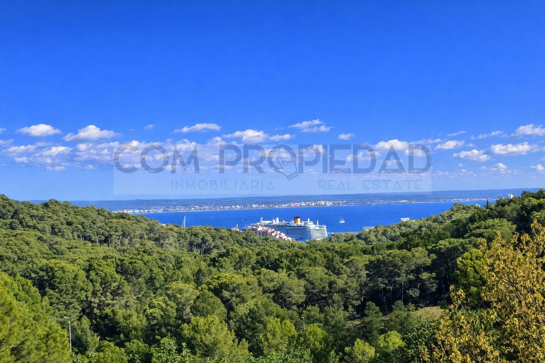 Terreno a Gènova, Palma di Maiorca, Isole Baleari 1 - 18516204