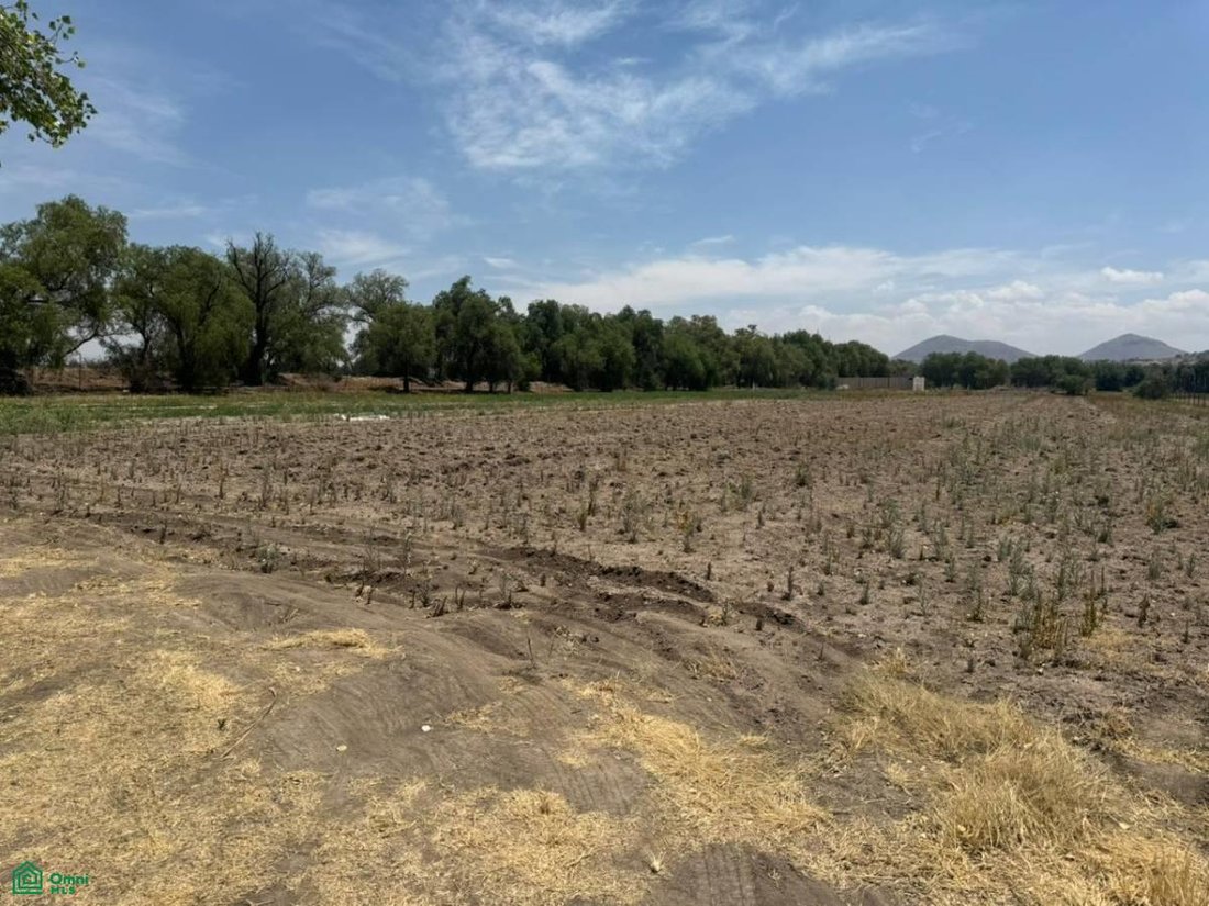 Land in Tepexpan, State of Mexico, Mexico 1 - 18342602