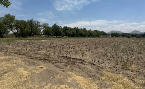 Land in Tepexpan, State of Mexico, Mexico 1