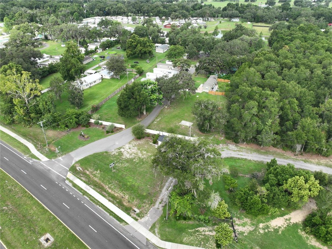 Dade City, Florida, United States 3 - 18511788