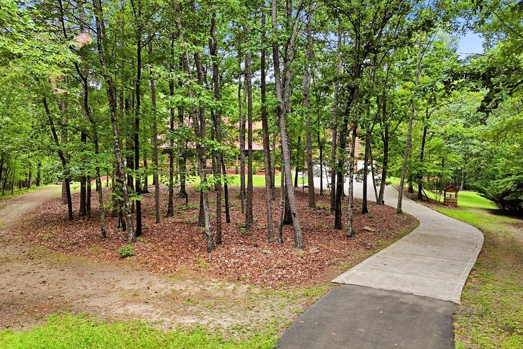 House in Ball Ground, Georgia, United States 4 - 18511332
