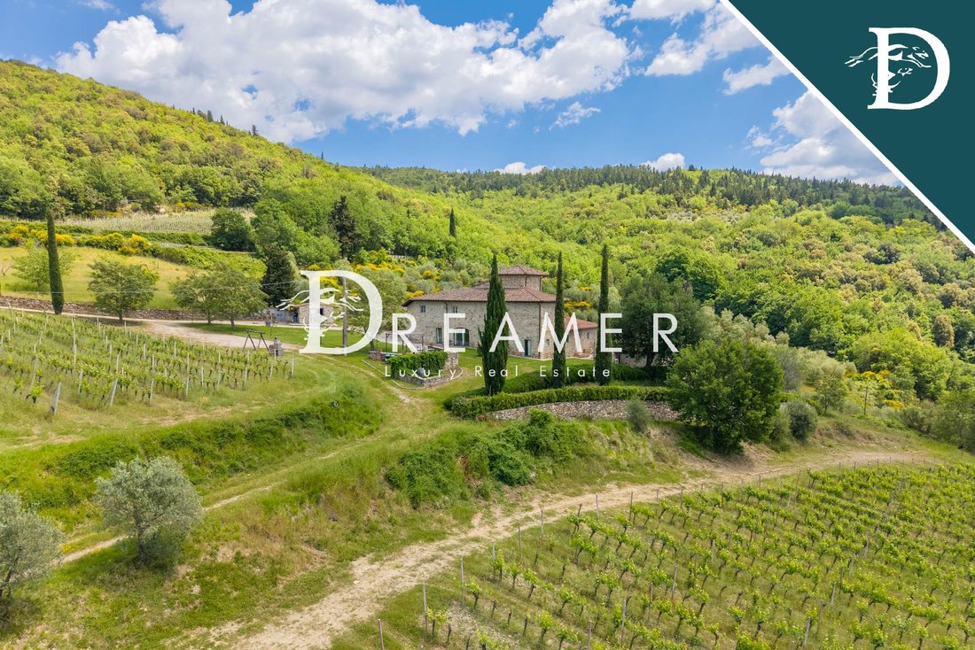 Villa in Castellina in Chianti, Tuscany, Italy 5 - 18117076