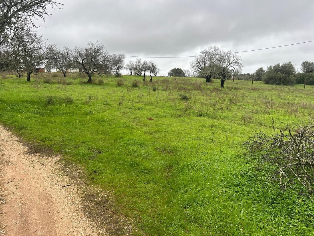 Land in Lagoa e Carvoeiro, Algarve, Portugal 2 - 18515585