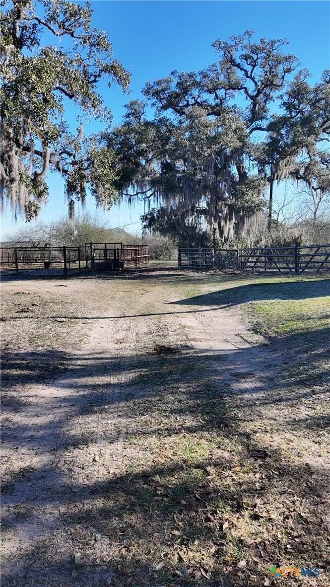 Farm Ranch in Goliad, Texas, United States 2 - 18508920