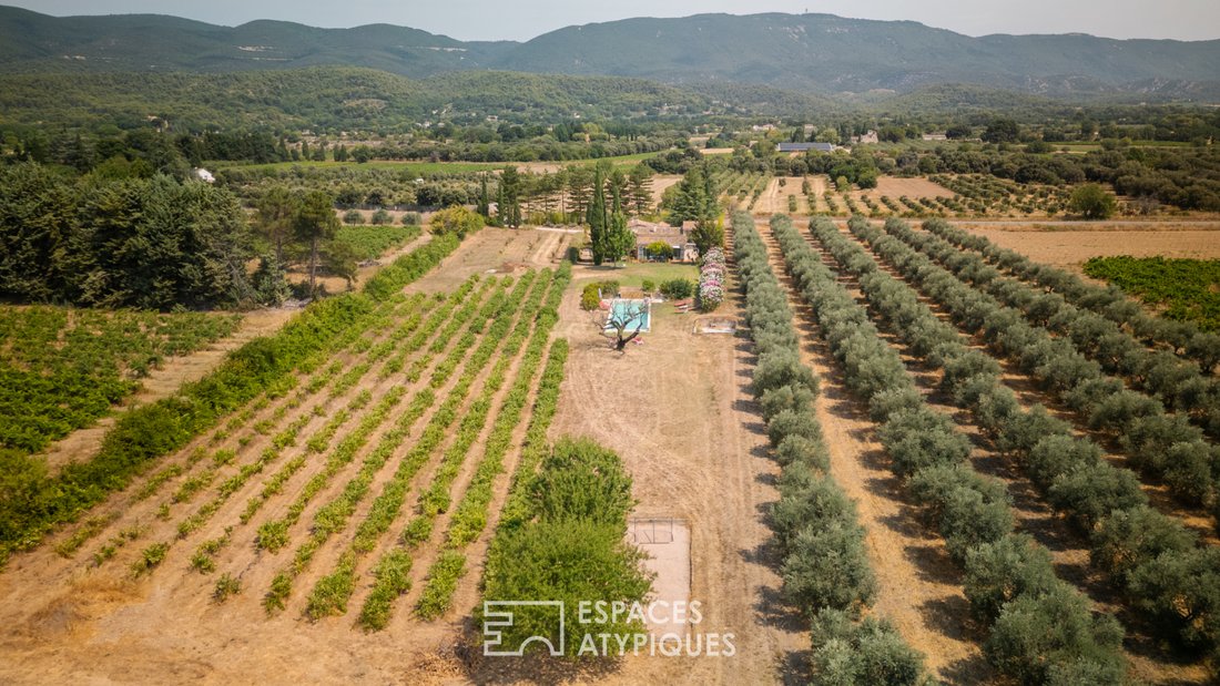 Villa in Cucuron, Provence-Alpes-Côte d'Azur, France 2 - 18513905