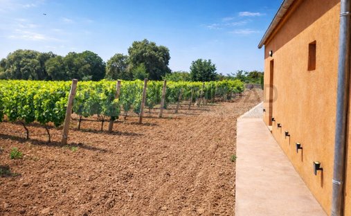 Finca en Costitx, Islas Baleares, España 1