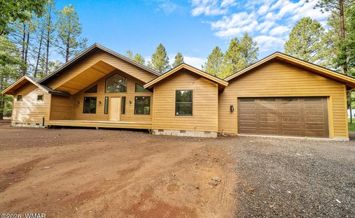 House in Pinetop, Arizona, United States 1