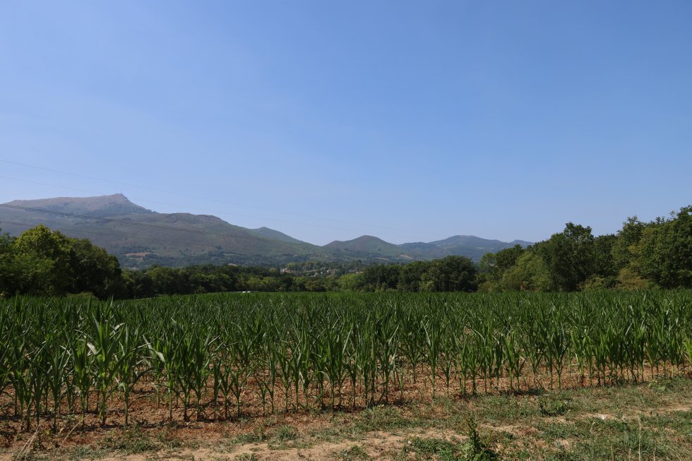 Land in Ascain, Nouvelle-Aquitaine, France 2 - 18511869