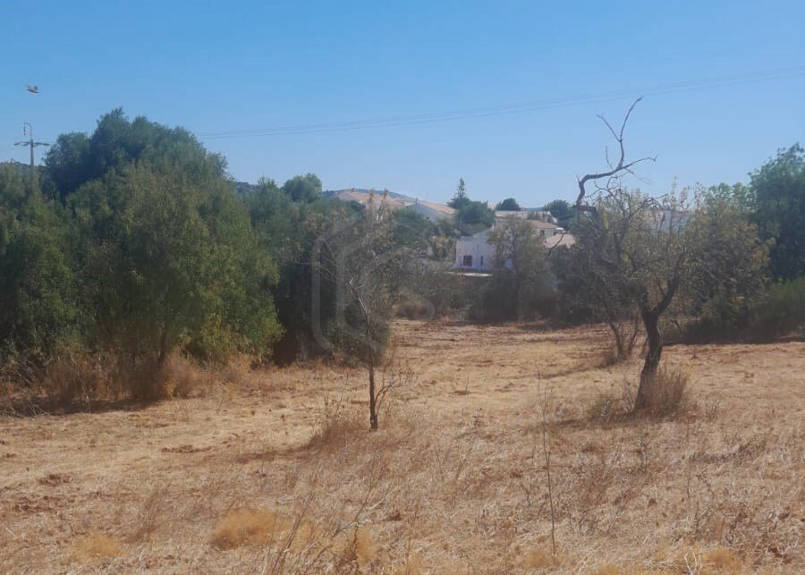 Land in Boliqueime, Algarve, Portugal 5 - 18516149