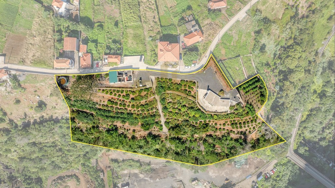 Villa in Reed, Madeira, Portugal 2 - 18382930