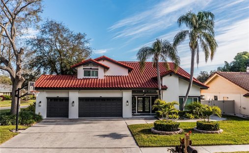 Maison à Tampa, Floride, États-Unis 1