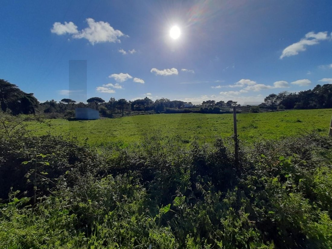 Land in Ericeira, Lisbon, Portugal 5 - 18514945