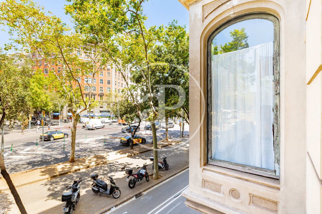 Apartment in Eixample, Barcelona, Spain 5 - 18515867