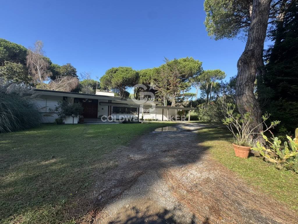 Villa in Ronchi, Massa, Italy 3 - 18514361