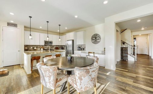 House in Sterling Ranch, Colorado, United States 1