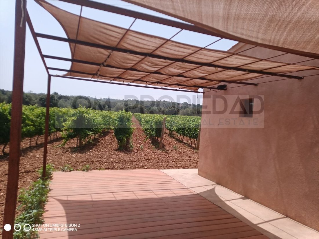 Finca in Costitx, Balearic Islands, Spain 5 - 18516217