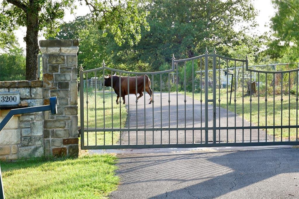 Farm Ranch in Granbury, Texas, United States 4 - 18513304
